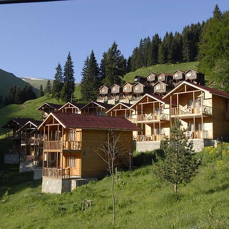 Zitas Zigana Yayla Tatil Koyu Macka Zewnętrze zdjęcie