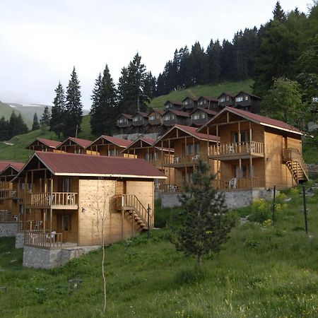 Zitas Zigana Yayla Tatil Koyu Macka Zewnętrze zdjęcie