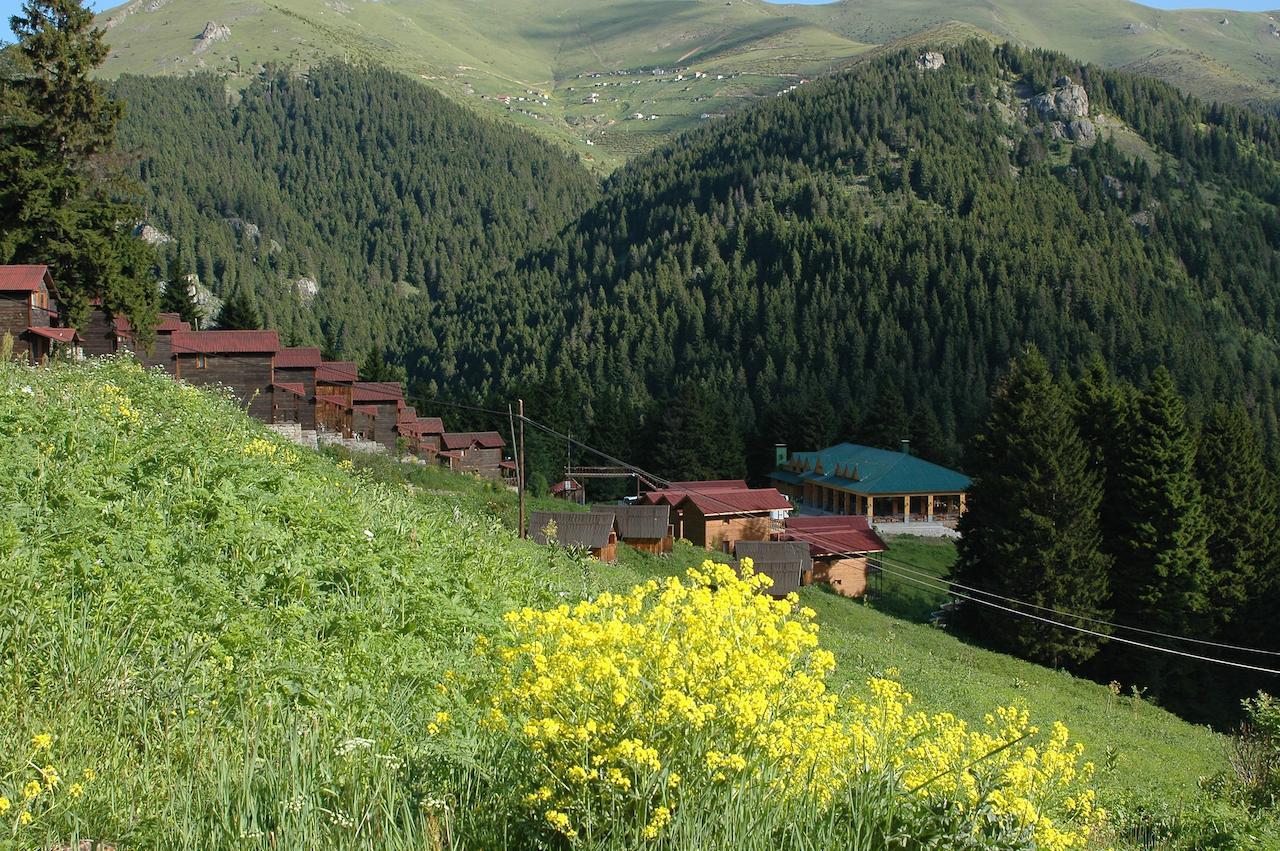 Zitas Zigana Yayla Tatil Koyu Macka Zewnętrze zdjęcie