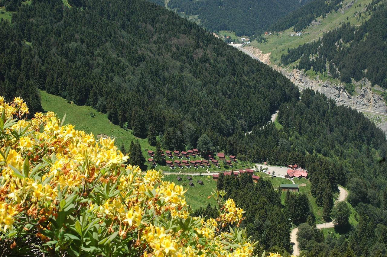 Zitas Zigana Yayla Tatil Koyu Macka Zewnętrze zdjęcie