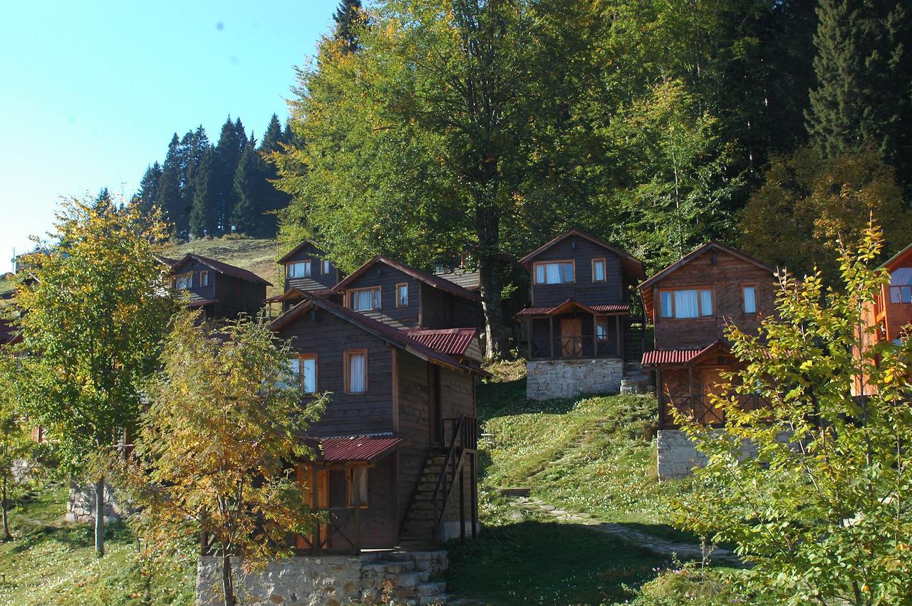 Zitas Zigana Yayla Tatil Koyu Macka Zewnętrze zdjęcie