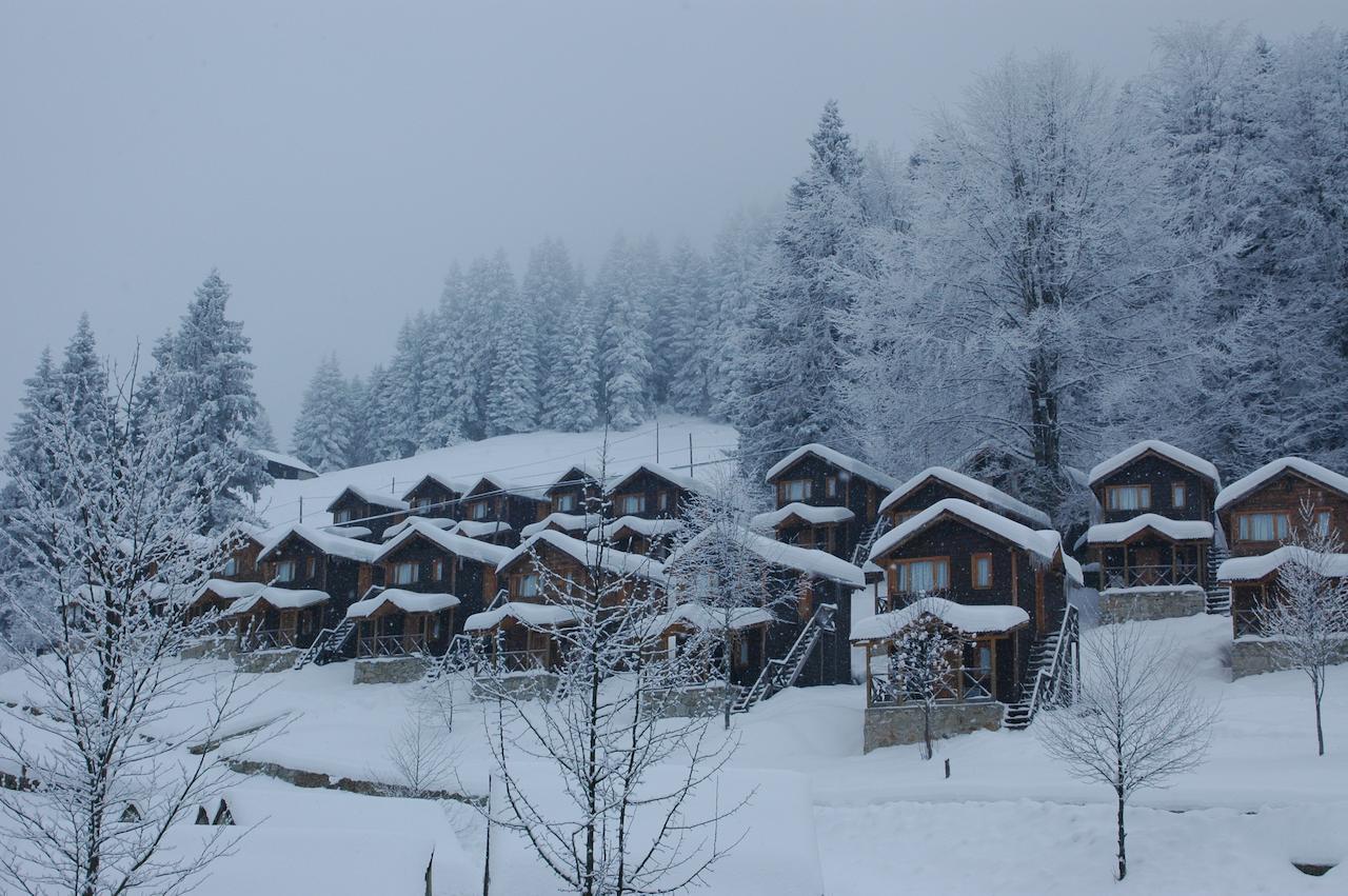 Zitas Zigana Yayla Tatil Koyu Macka Zewnętrze zdjęcie