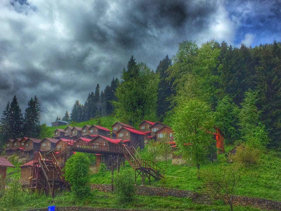 Zitas Zigana Yayla Tatil Koyu Macka Zewnętrze zdjęcie