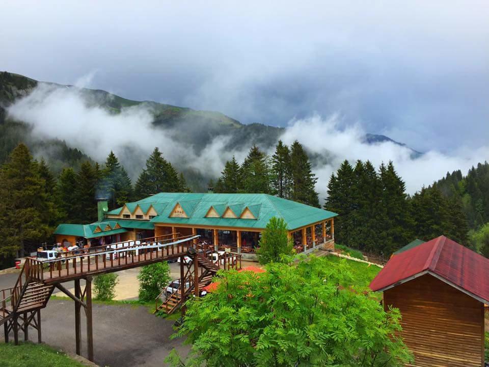 Zitas Zigana Yayla Tatil Koyu Macka Zewnętrze zdjęcie