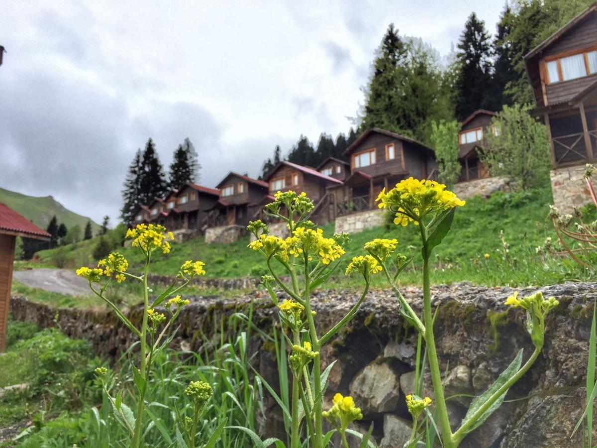 Zitas Zigana Yayla Tatil Koyu Macka Zewnętrze zdjęcie