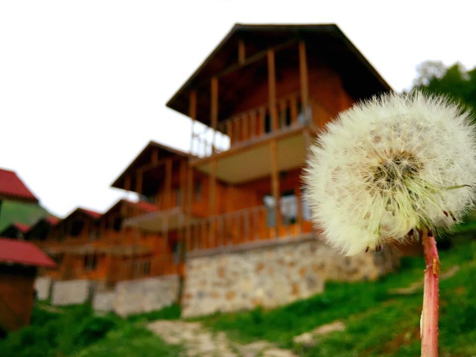 Zitas Zigana Yayla Tatil Koyu Macka Zewnętrze zdjęcie