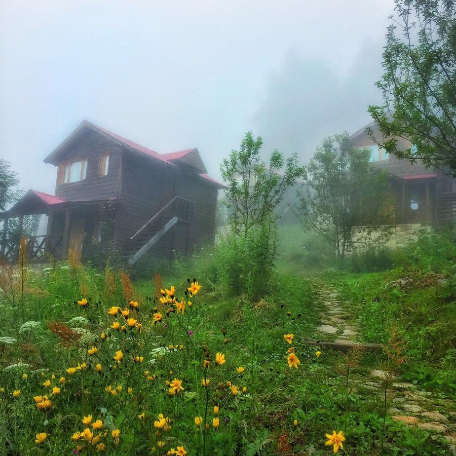 Zitas Zigana Yayla Tatil Koyu Macka Zewnętrze zdjęcie