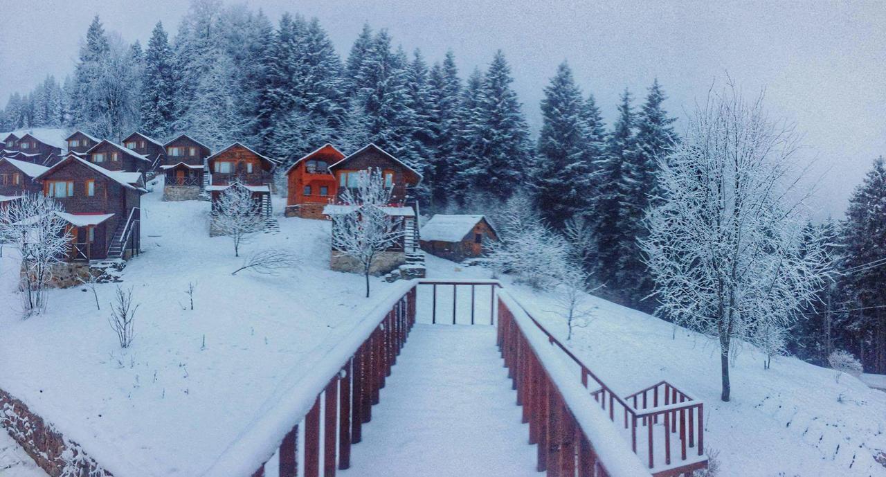 Zitas Zigana Yayla Tatil Koyu Macka Zewnętrze zdjęcie